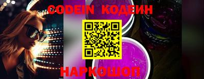 мдпв Кингисепп