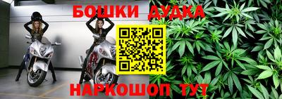 мдпв Кингисепп