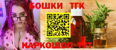 мдпв Кингисепп