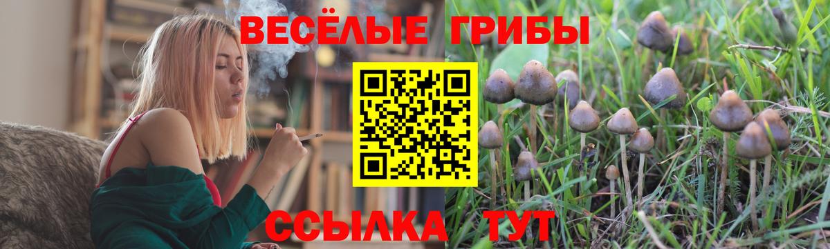 Галлюциногенные грибы MAGIC MUSHROOMS Конаково
